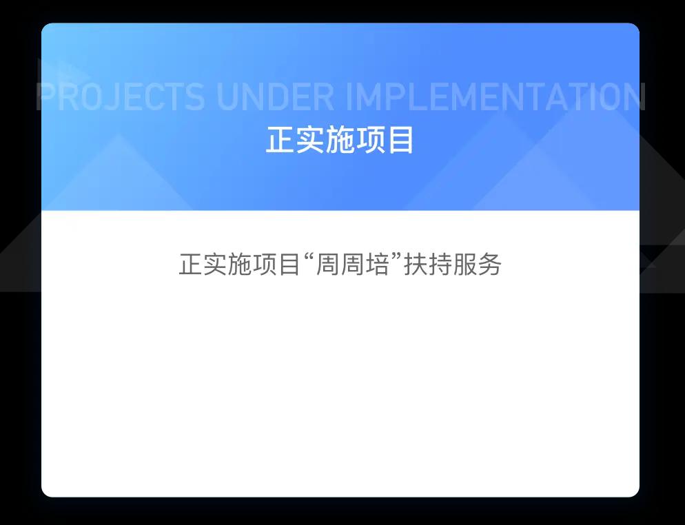 正实施项目